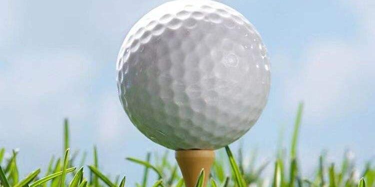 Premium Custom 2 Piece Distance Golf Balls (1) Custom 2 piece distance golf balls wholesale supply